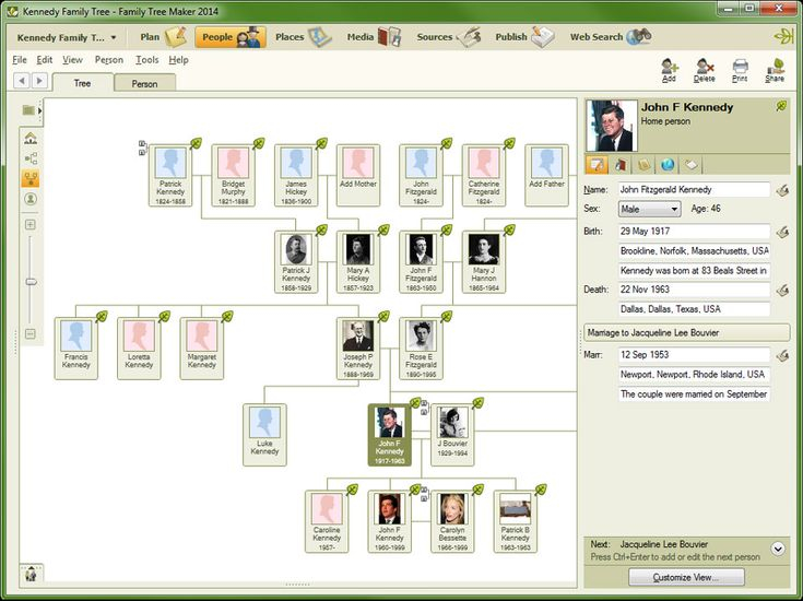 Gramps Family Tree Maker Ploravt