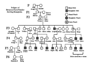 Hemophilia In The Royal Families By Kevin Cornwall TPT