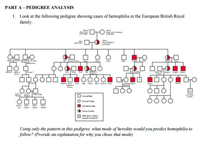 Hemophilia Pedigree