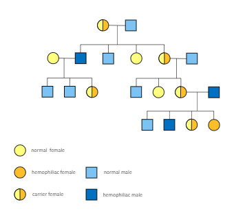Hemophilia Pedigree Chart EdrawMax Templates