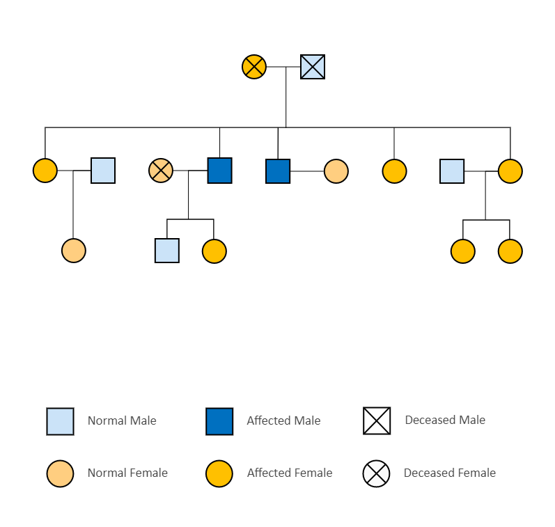 Hemophilia Pedigree Chart EdrawMax Templates