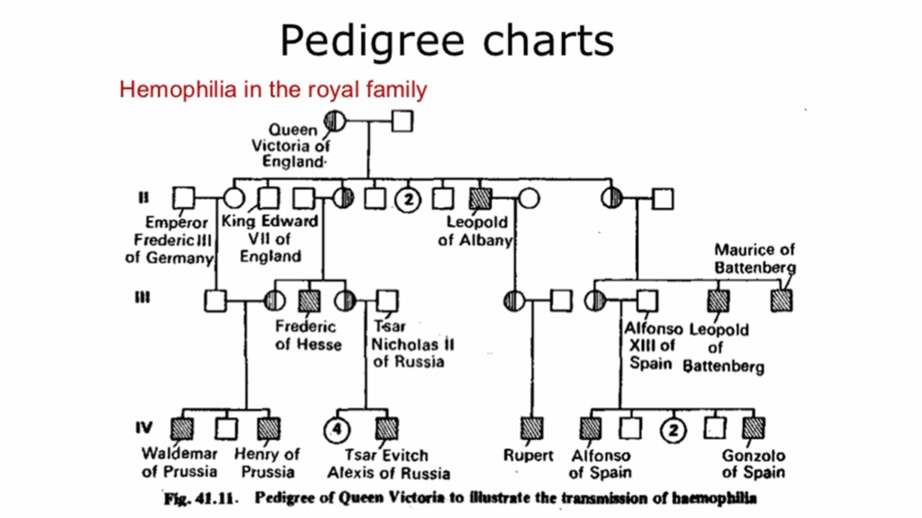 Hemophilia Pedigree Chart Royal Family