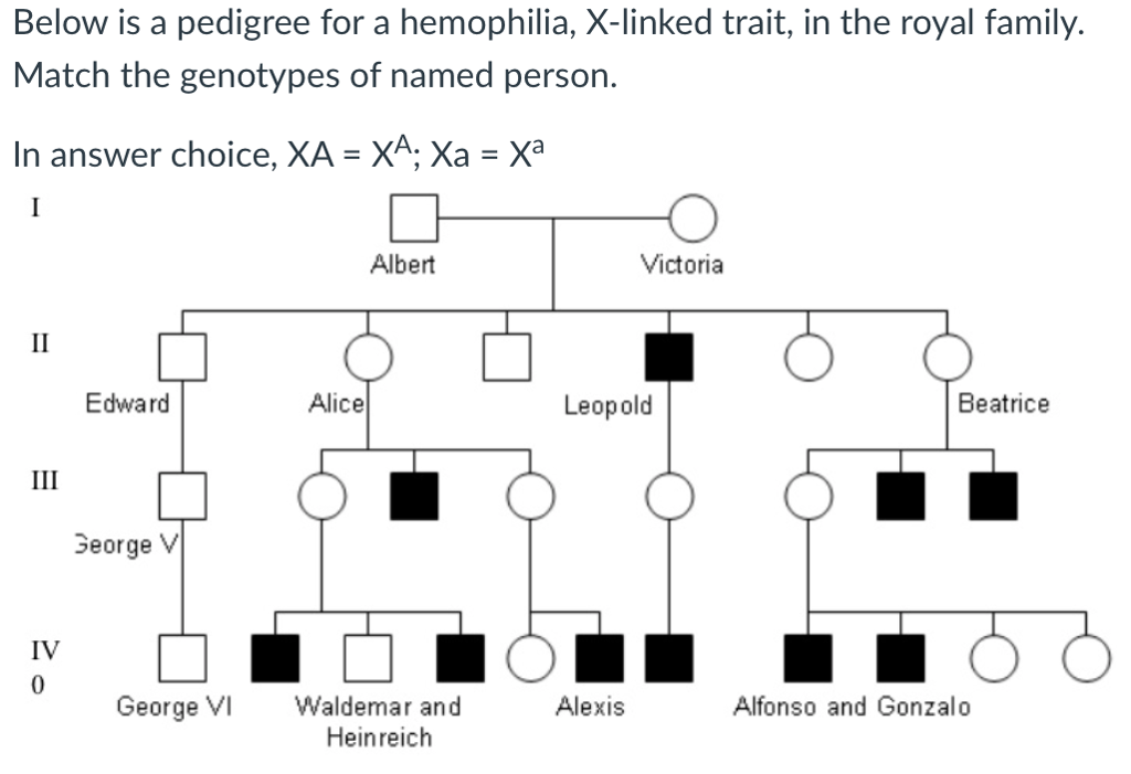 Hemophilia Pedigree