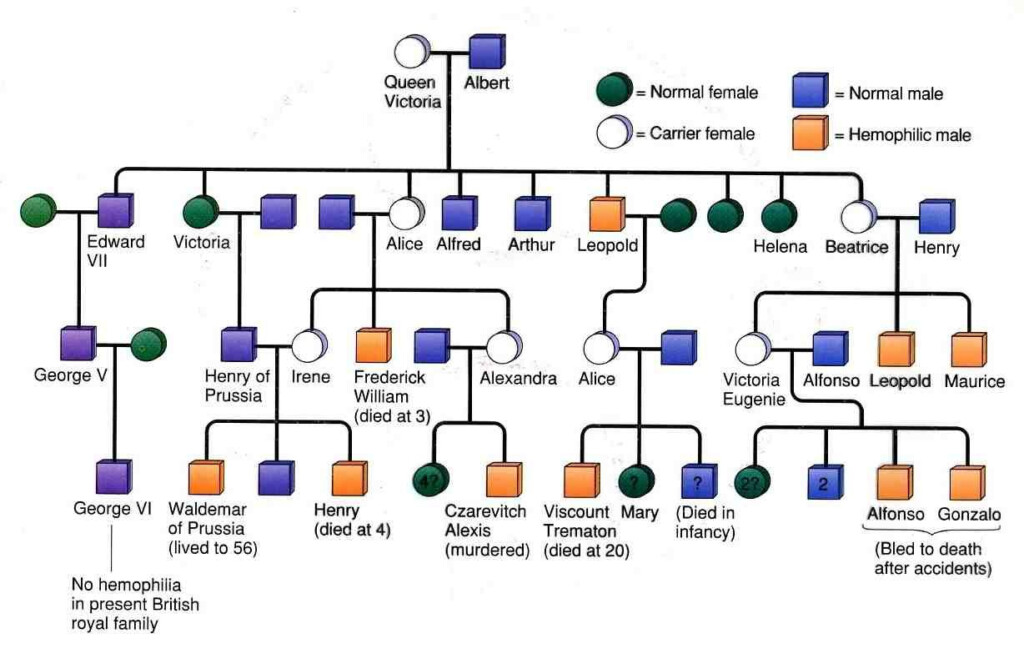Hemophilia Royal Family Photos Pictures Victoria Family Tree Queen 