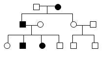 Hereditary Renal Cystic Diseases Autosomal Dominant Polycystic Kidney 