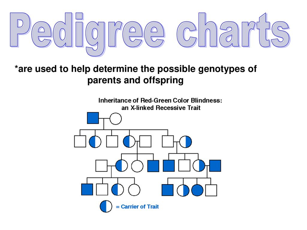 Heredity And Genetics Ppt Download