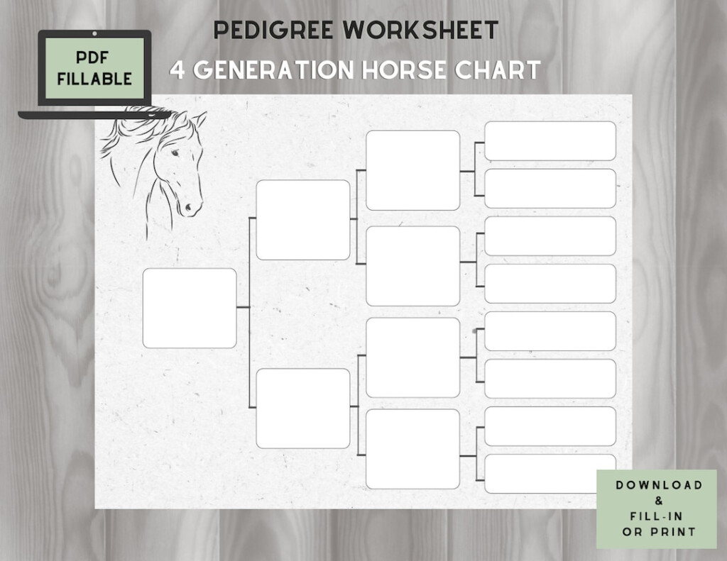 Horse Pedigree Chart 4 Generations Fillable PDF Etsy