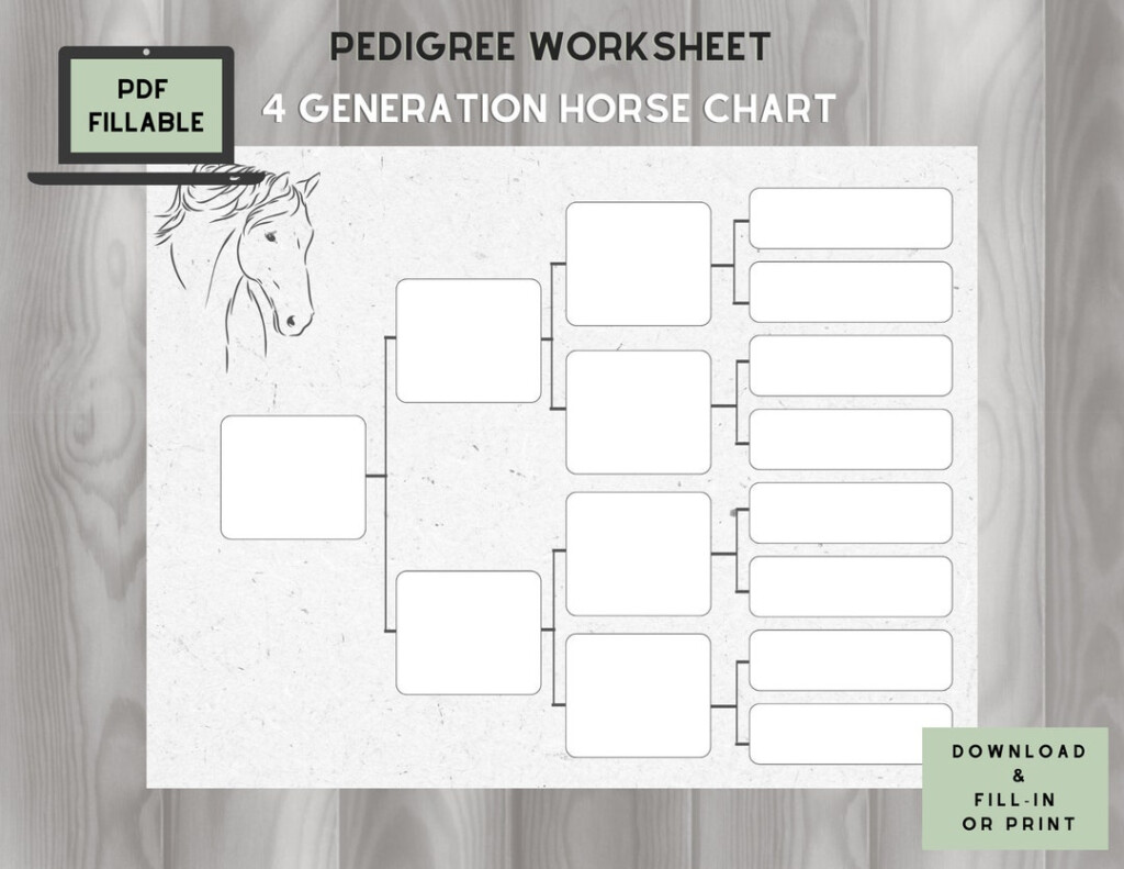 Horse Pedigree Chart 4 Generations Fillable PDF Etsy