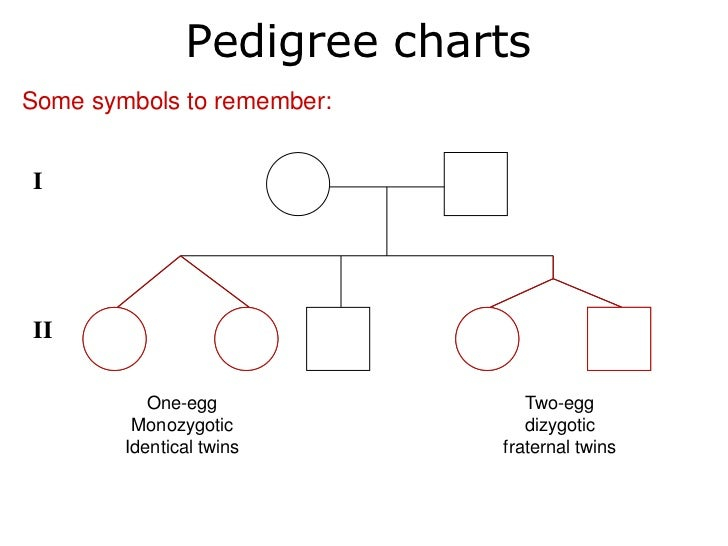 How Are Monozygous Twins Represented On A Pedigree Chart Chart Walls
