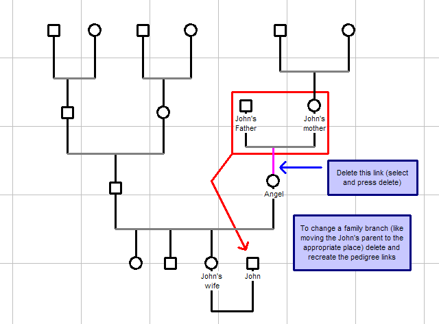 How Do I Move An Entire Branch Of My Family Tree GenoPro Help
