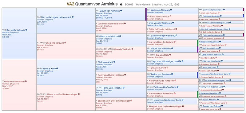 How Do I Read A Dog Pedigree Chart 