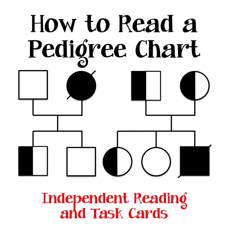 How Do I Read My Dogs Pedigree Chart