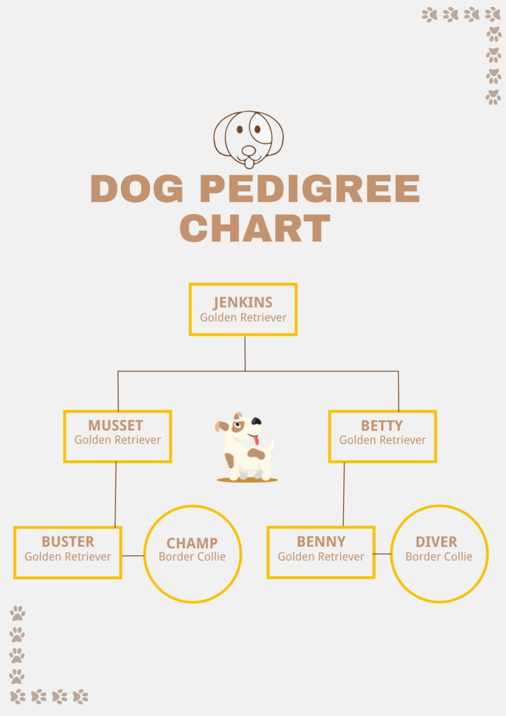 How Do You Read A Pedigree Dog Chart