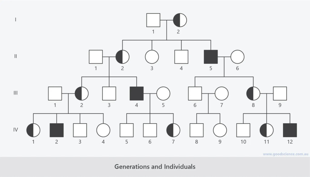 How To Create A Pedigree Chart For Your Family Tree A Step by Step Guide