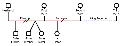 How To Created Second Marriage GenoPro Help