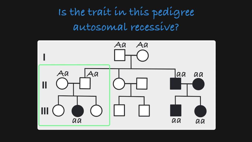 How To Identify Autosomal Recessive Pedigree