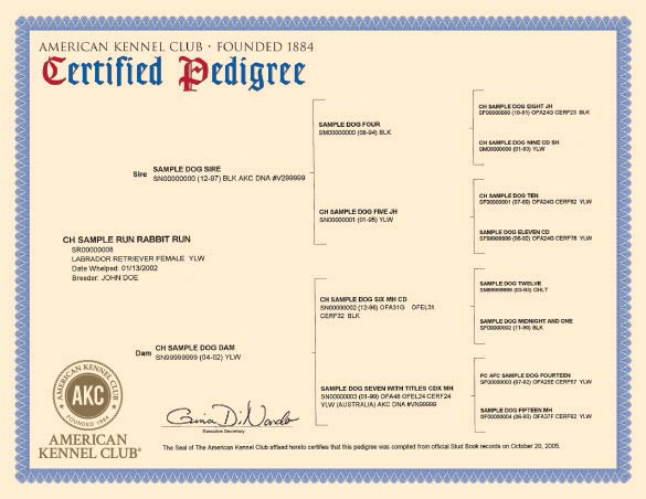 How To Read And Use A Dog 39 s Pedigree American Kennel Club