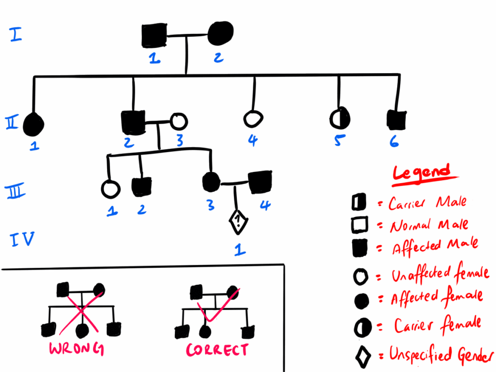 HSC Biology Module 5 Inquiry Question 4