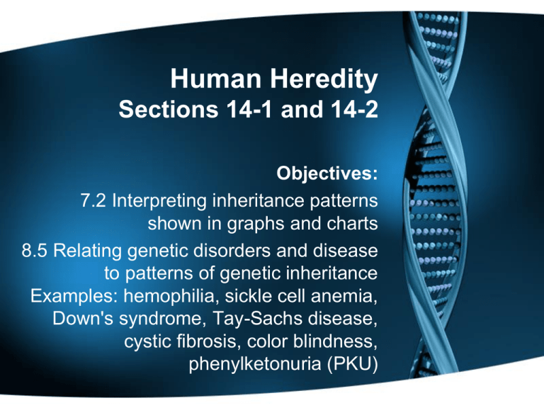Human Heredity Section 14 1