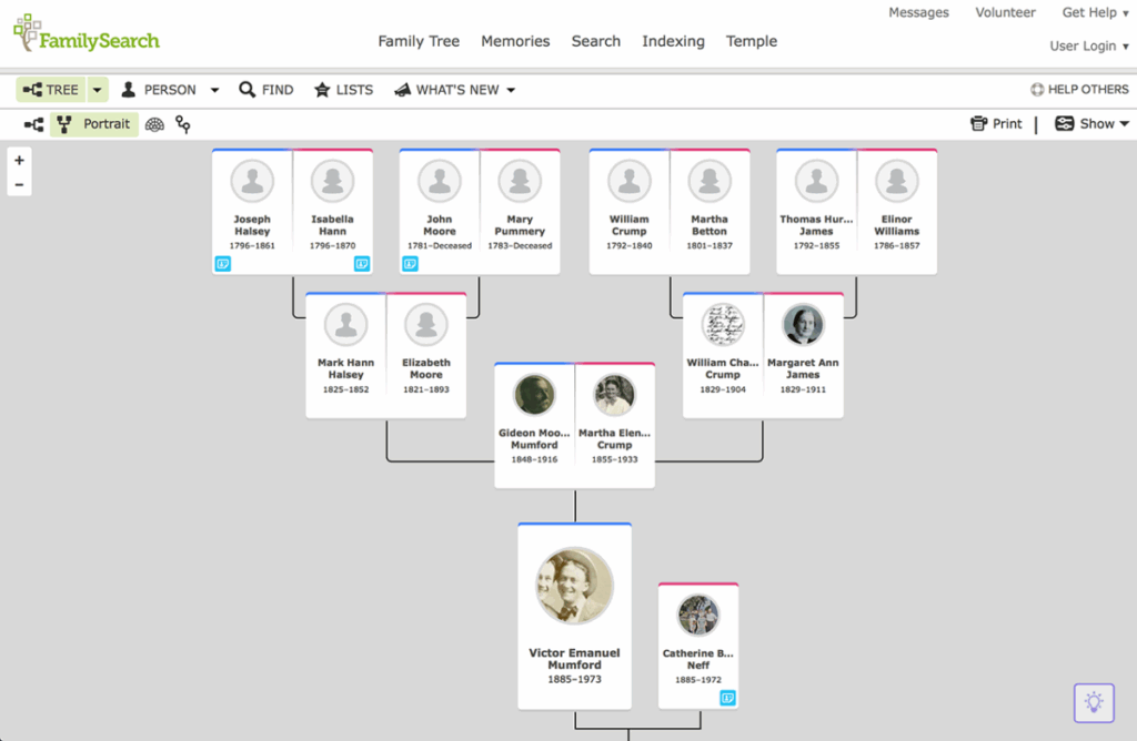 I 6 Migliori Programmi Software Albero Genealogico Per Genealogia 
