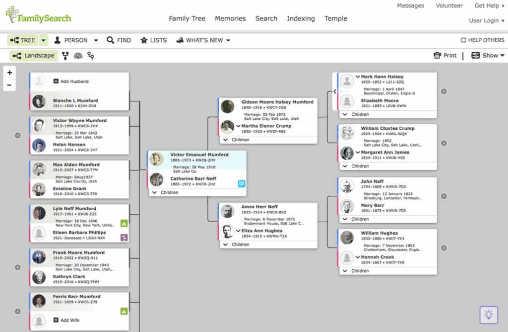 I 6 Migliori Programmi Software Albero Genealogico Per Genealogia 