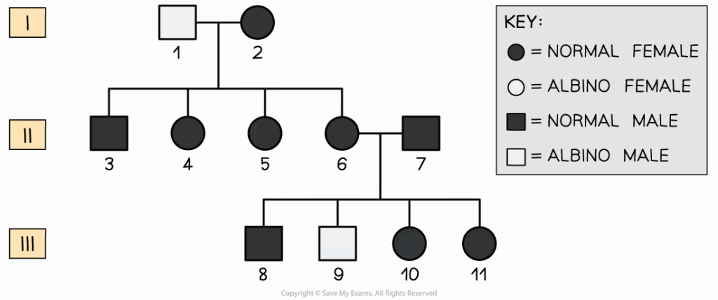 IB DP Biology HL 3 3 3 Skills Inheritance 