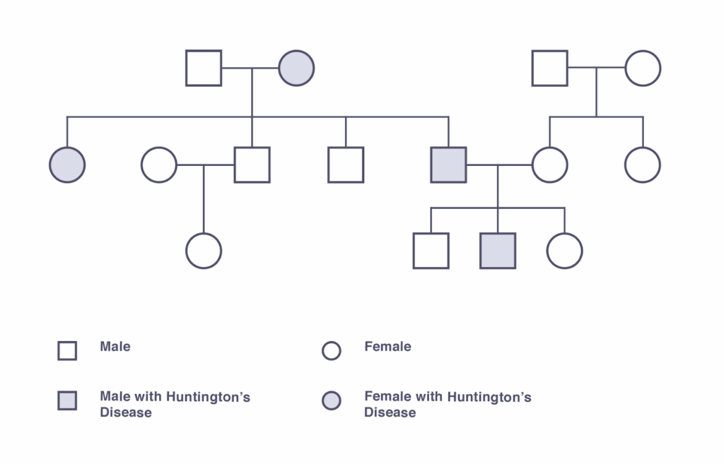 IGCSE Biology 2017 3 24 Understand How To Interpret Family Pedigrees