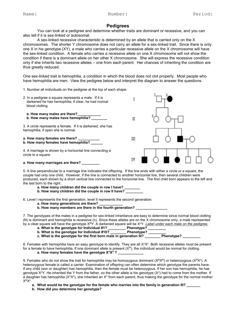 Interpreting A Human Pedigree Worksheet Printable And Enjoyable Learning