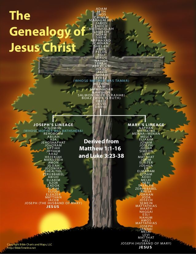 Jesus Christ Genealogy Chart Jesus Genealogy Chart Christ Family Bible 