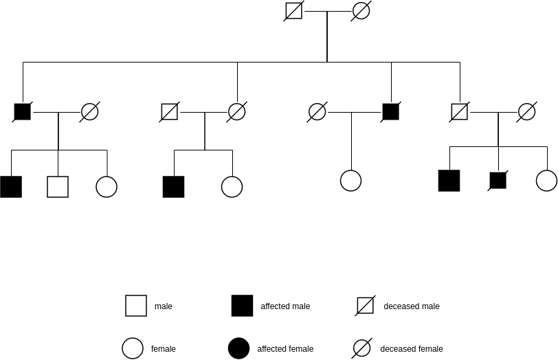Linked Recessive Pedigree Chart Pedigree Chart Template