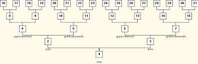 Liste Sosa Stradonitz G n ration 4 7 Paperblog