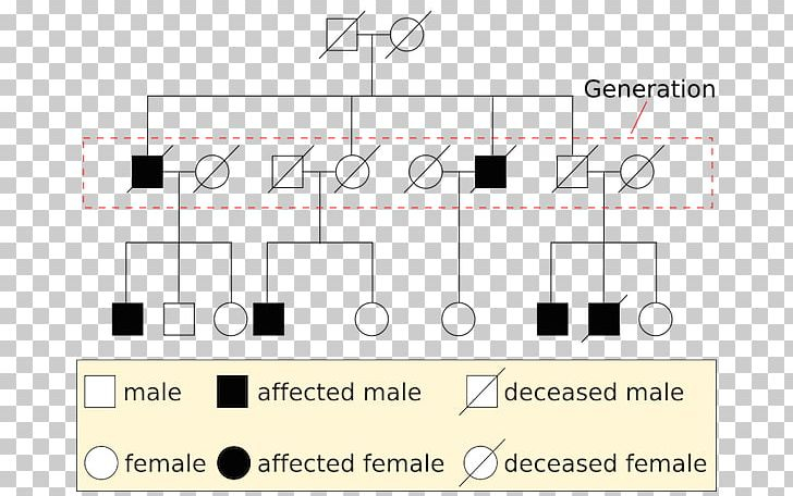 Marfan Syndrome Pedigree Chart A Visual Reference Of Charts Chart Master