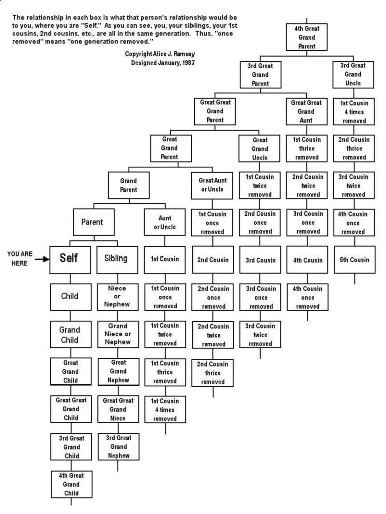 Matchbook Family Tree Genealogy Family Relationship Chart Family 