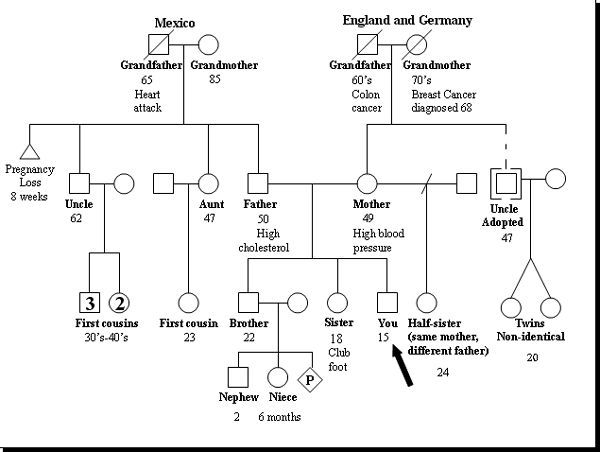 Microsoft Office Genealogy Templates Free Programs Utilities And 