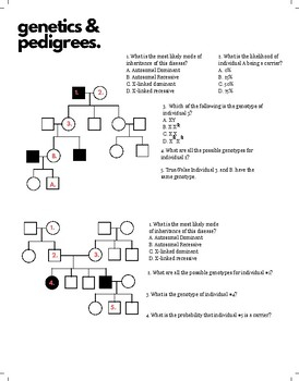 Middle School Pedigree Charts Worksheet TUTORE ORG Master Of Documents