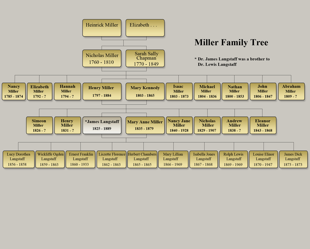 Miller Family Tree OurLifeHistory