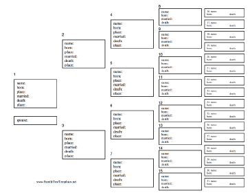 Multi Generation Family Tree Template Family Tree Template 55 OFF