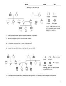 Muscular Dystrophy Pedigree Chart Worksheet
