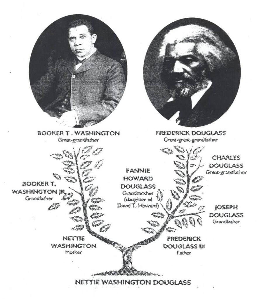 Nettie Washington Douglass 39 Family Tree Copyright 2014 By Frederick 