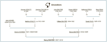 New Sosa Stradonitz Numbering System Geneanet
