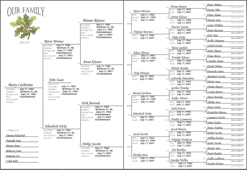 Oak Tree 6 x 8 6 Generations Pedigree Chart Scrapbook Your Family 