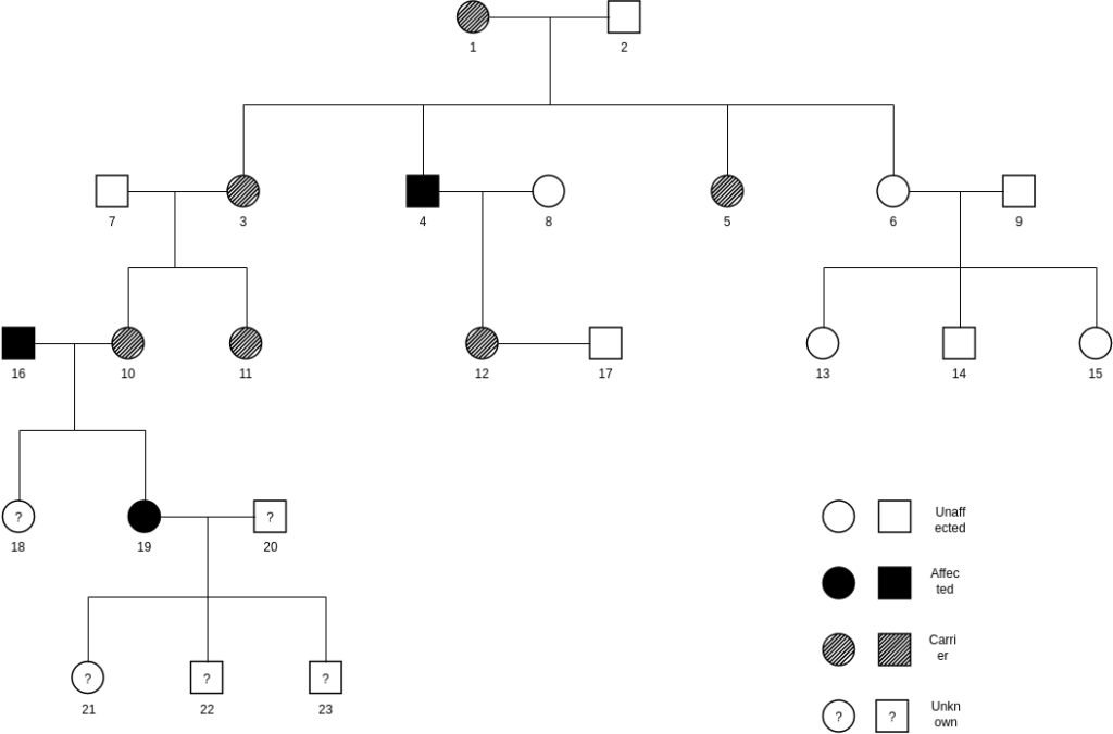 Online Pedigree Chart Tool