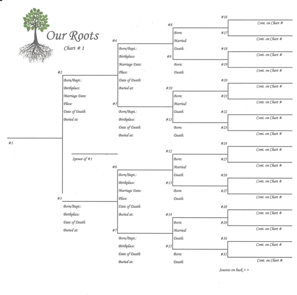Our Roots 8 X 8 Pedigree Chart 1 Scrapbook Your Family Tree