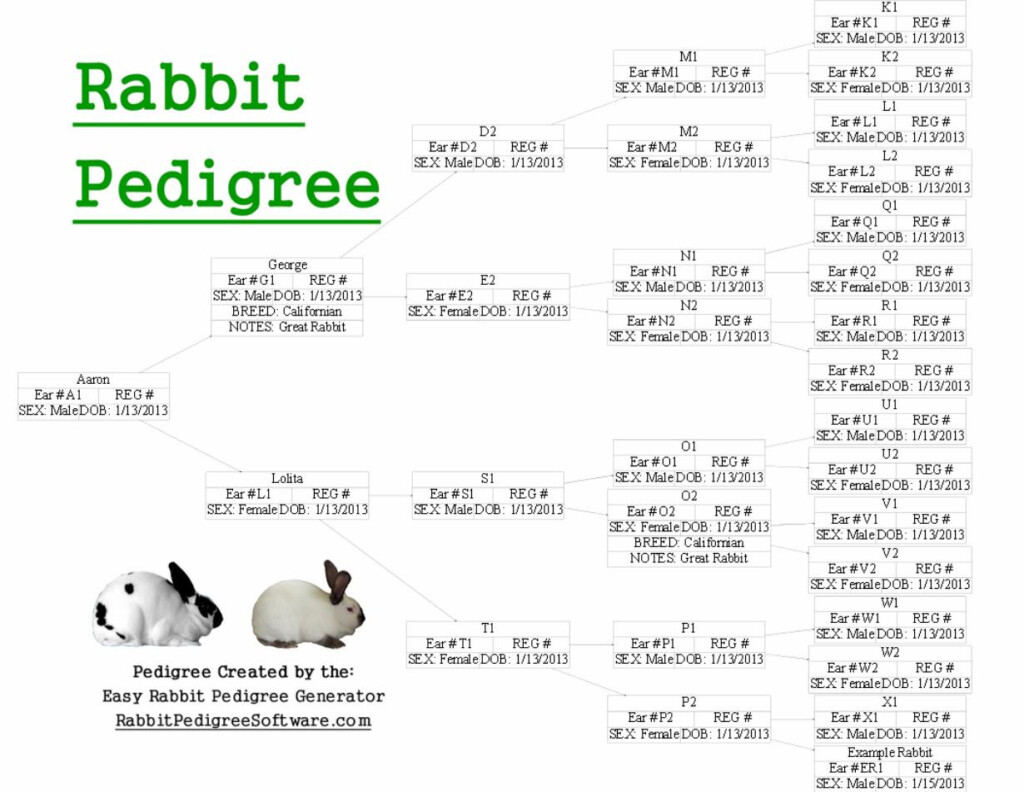 Page Not Found Pedigree Chart Pedigree Templates