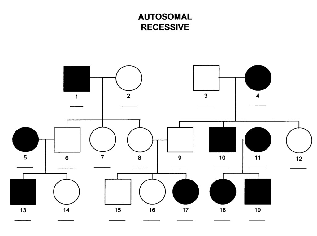 Pedigree A Family Tree With The History Of A Family Trait Showed 