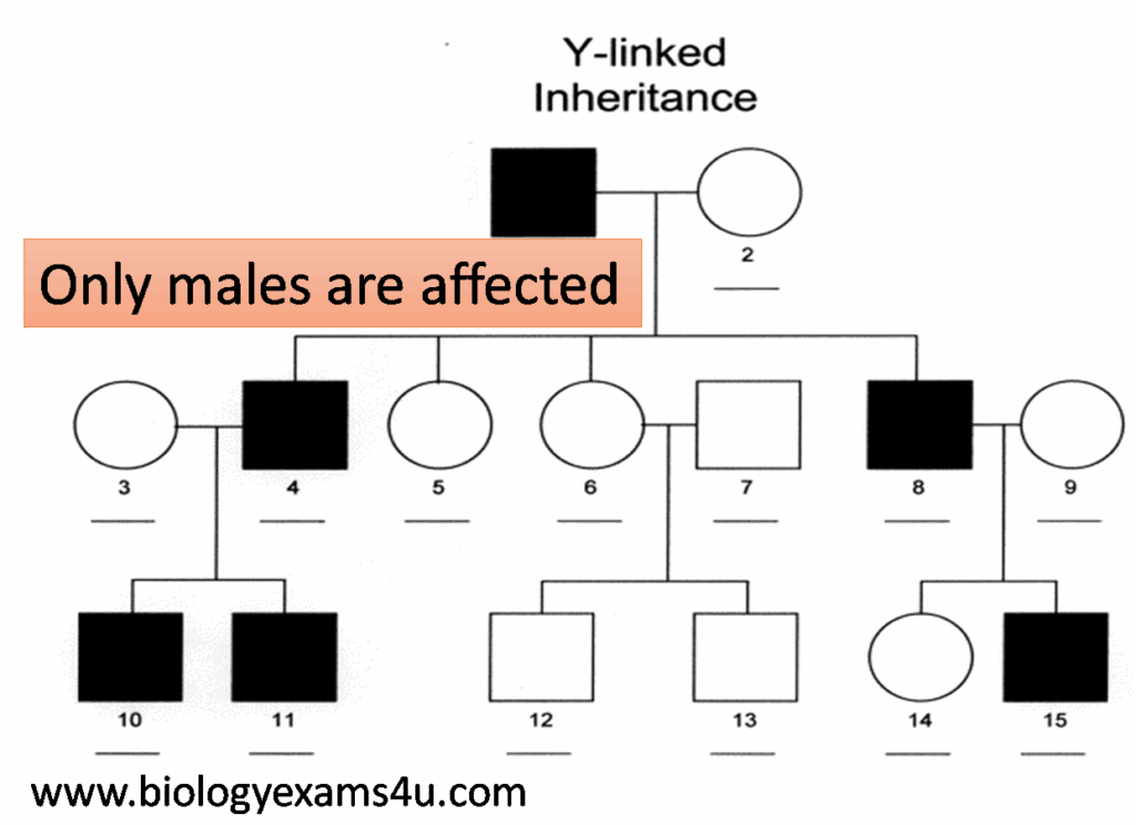 Pedigree Analysis Meaning Inheritance Pattern And Problem Solving Tips 