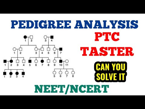  Pedigree Analysis PTC Taster Genetics Can You Solve It YouTube