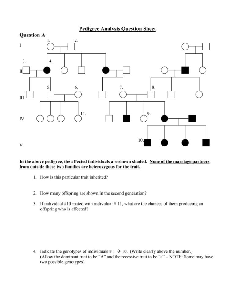 Pedigree Analysis Questions Genetics Practice