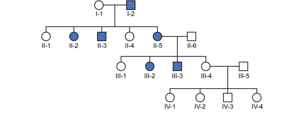 Pedigree Analysis Types Chart Symbols Methods Examples Biology 