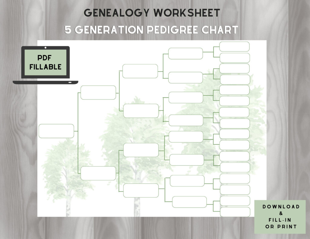 Pedigree Chart 5 Generations On One Page FILLABLE PDF Etsy